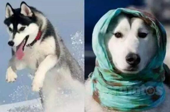 QQ截图20180206110913