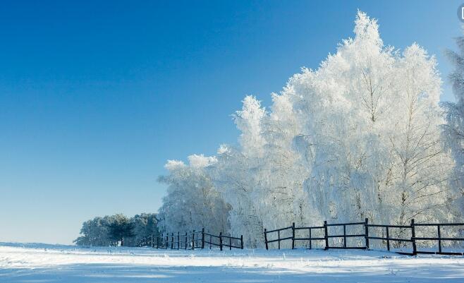 QQ截图20180206113348